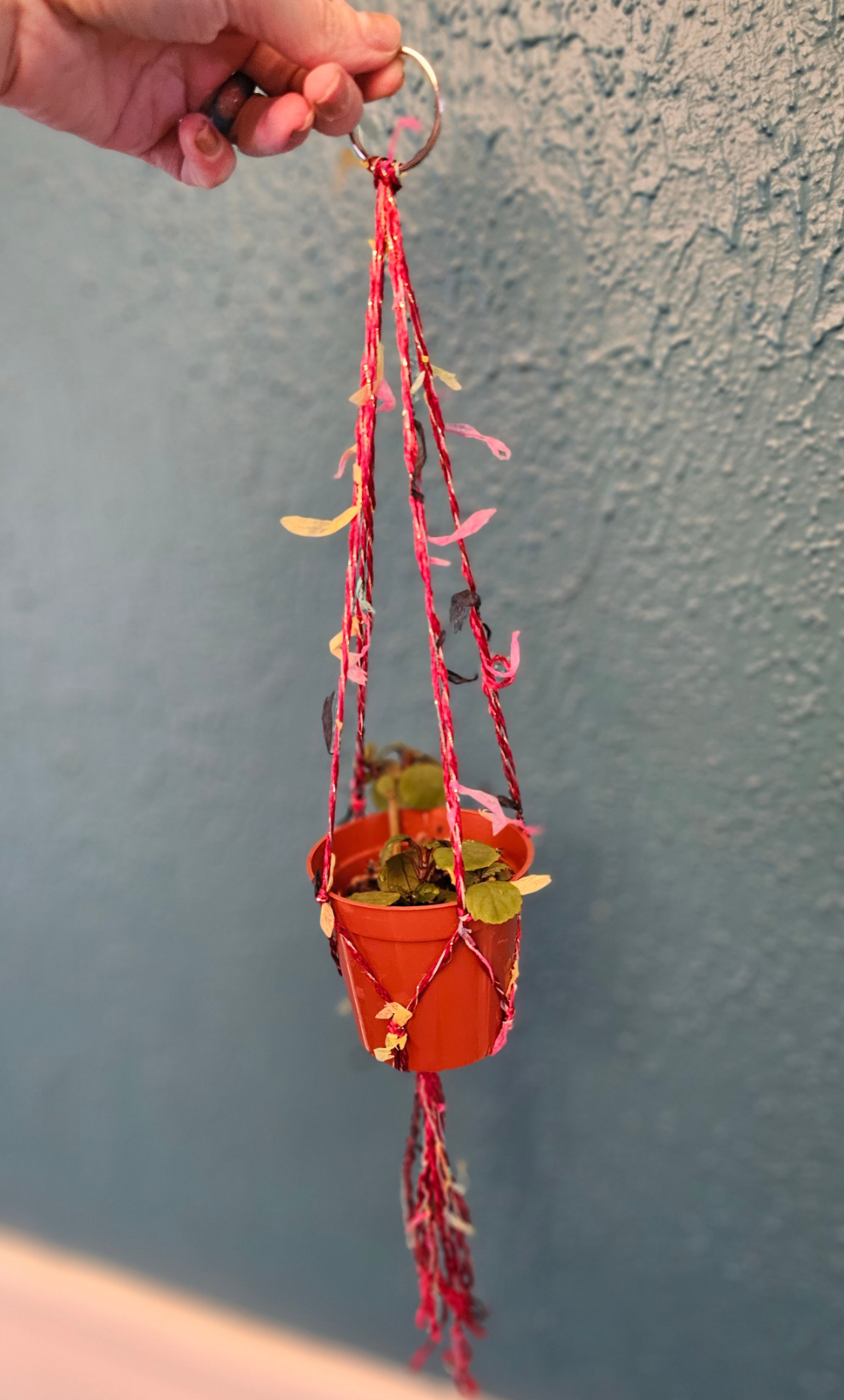 Boho Wrapped Macrame Plant Hangers – Handmade & One of a Kind - Plants 1 tree - Small For 3 Inch Pots