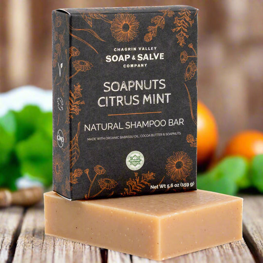 Shampoo Bar: Soapnuts Citrus Mint