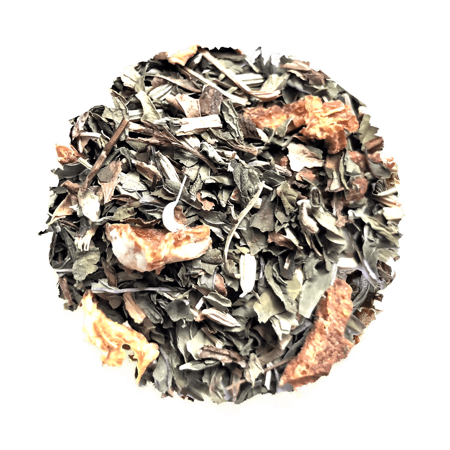 Seashore Soother For Kids