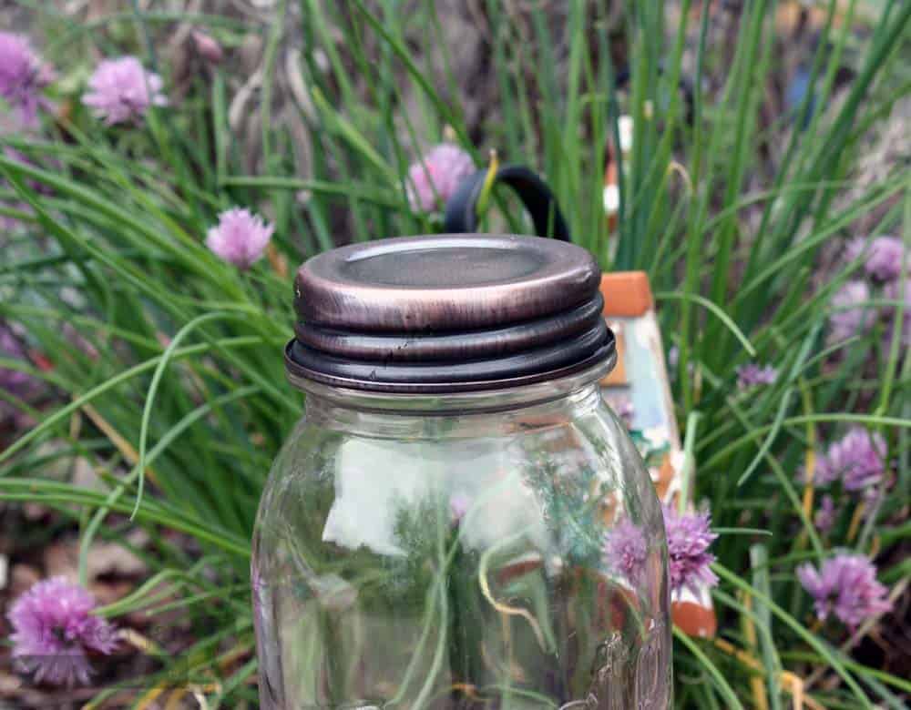 Oil Rubbed Bronze Vintage Reproduction Mason Jar Lids 4 Pack