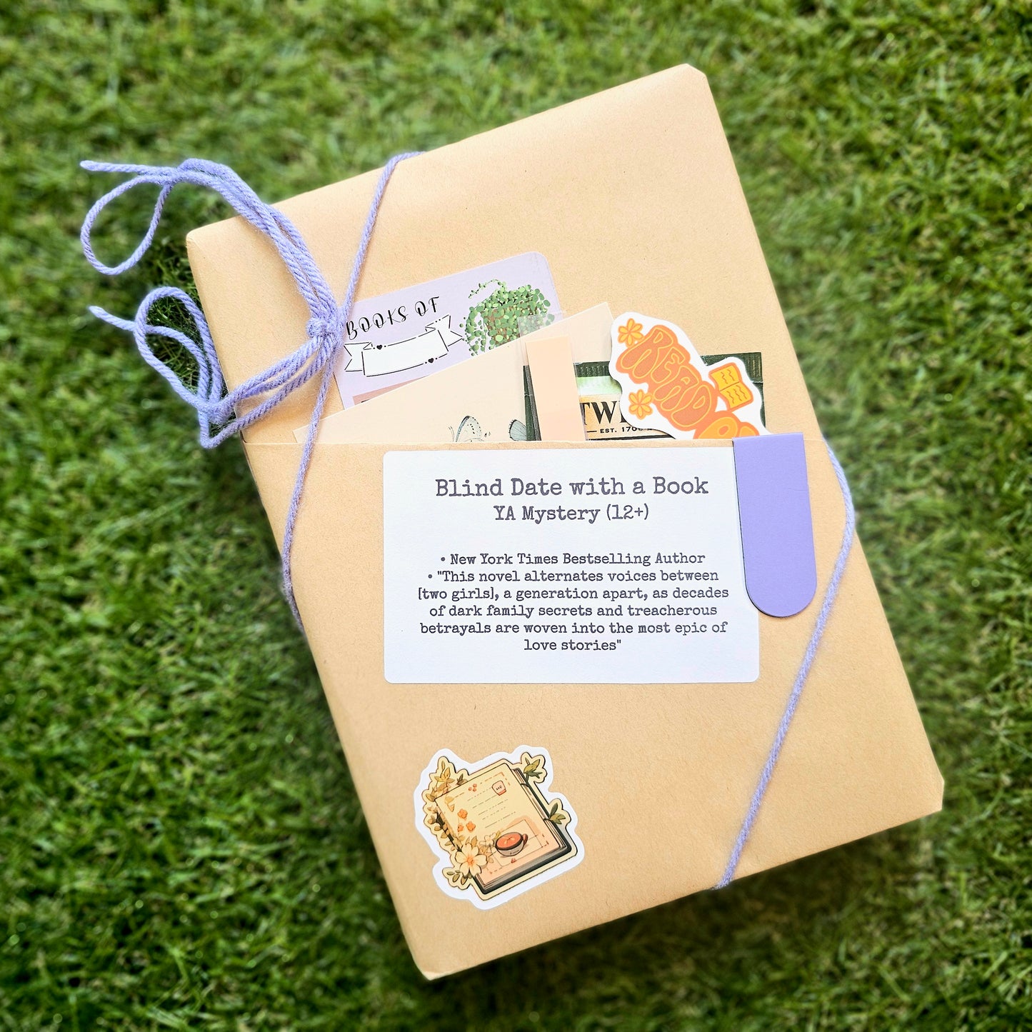 Blind Date With a Book #12 - YA Mystery, 12+, Hardcover