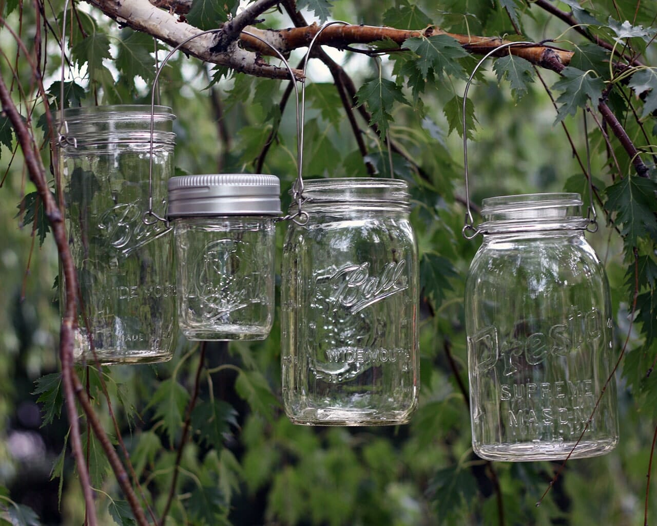 Stainless Steel Wire Handles for Mason Jars 6 Pack