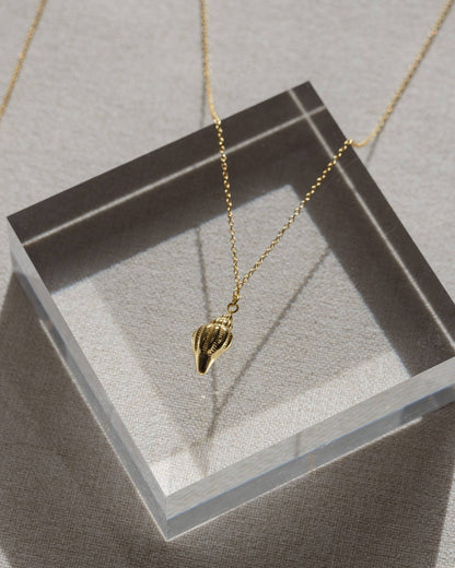 Gold Conch Shell Necklace