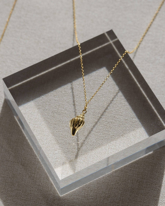 Gold Conch Shell Necklace