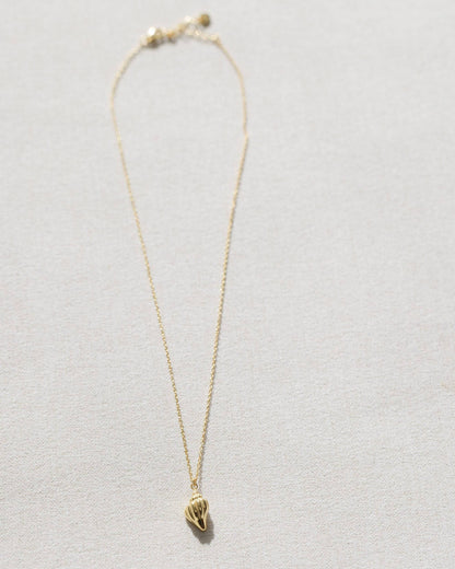 Gold Conch Shell Necklace