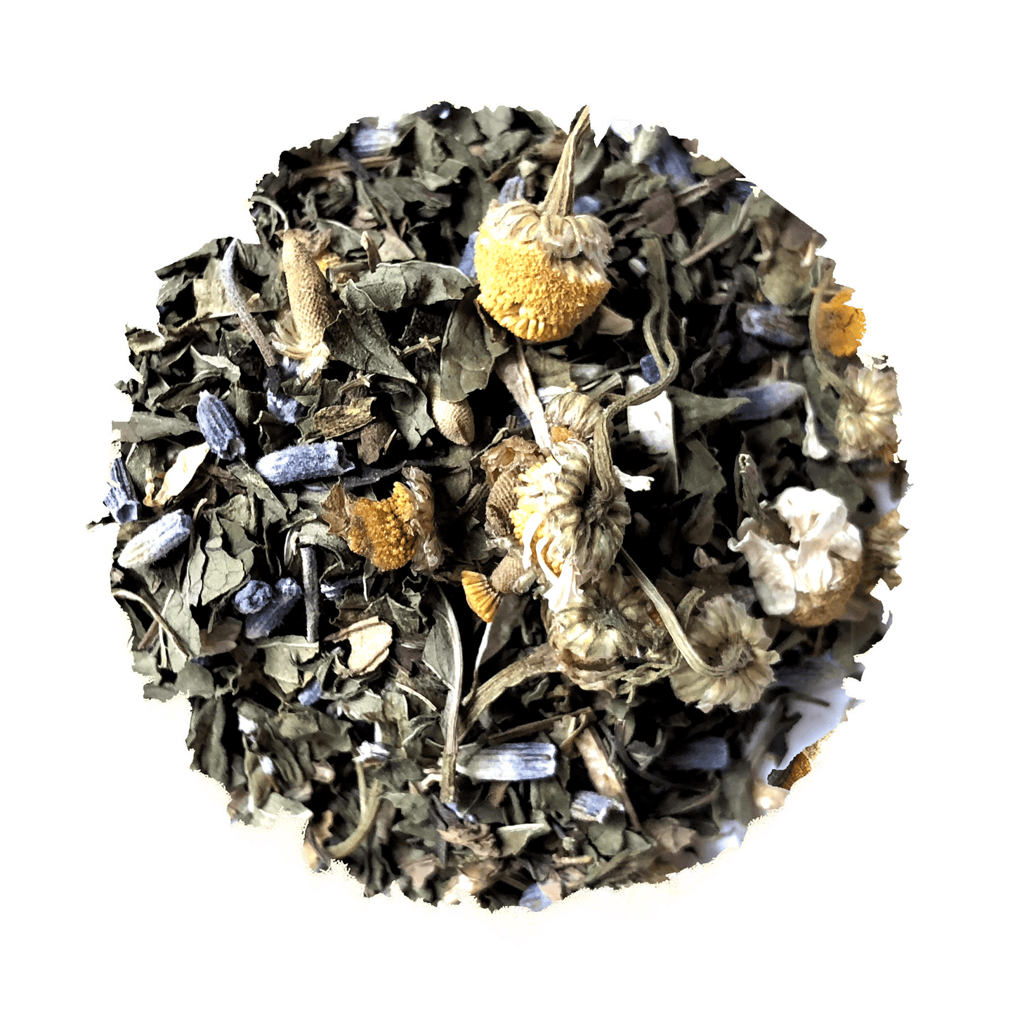 Embrace The Beach Life Iced Blend