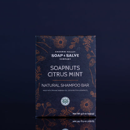 Shampoo Bar: Soapnuts Citrus Mint