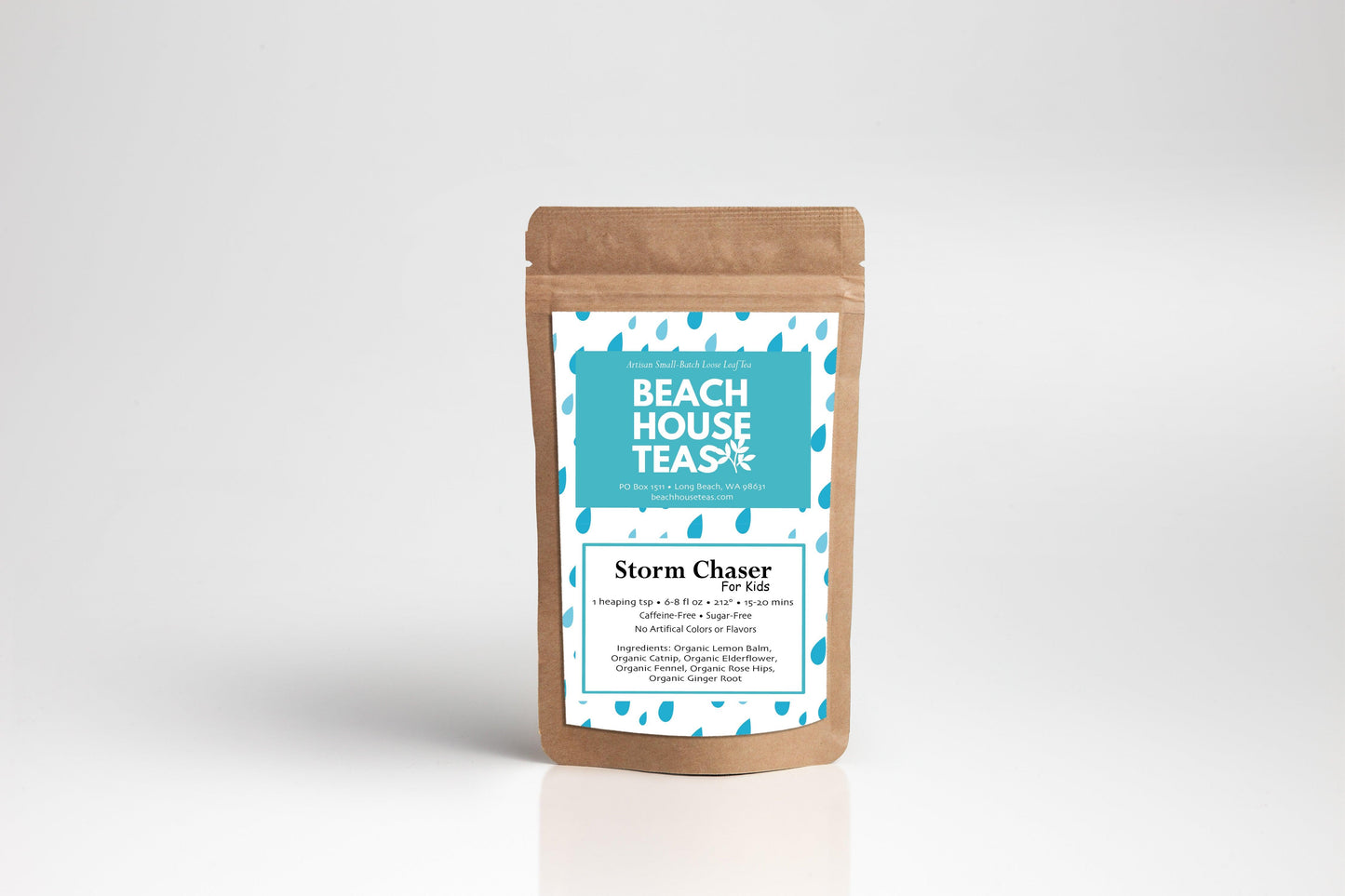 Storm Chaser For Kids