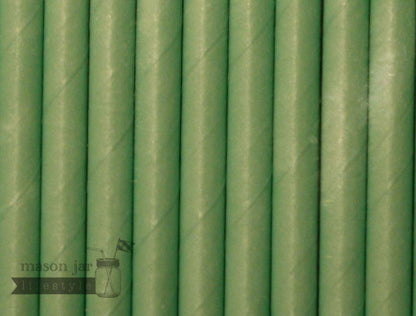 Random 24 Pack Paper Straws