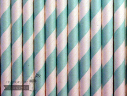 Random 24 Pack Paper Straws